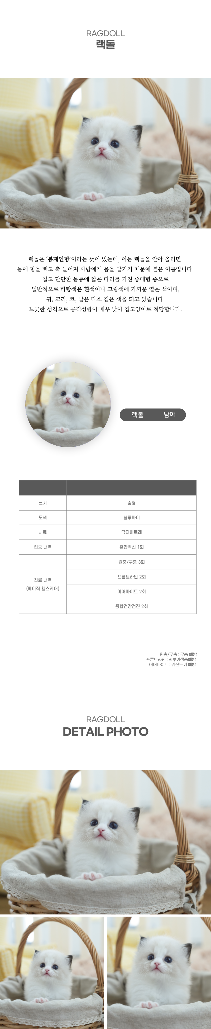 랙돌_상세이미지_2